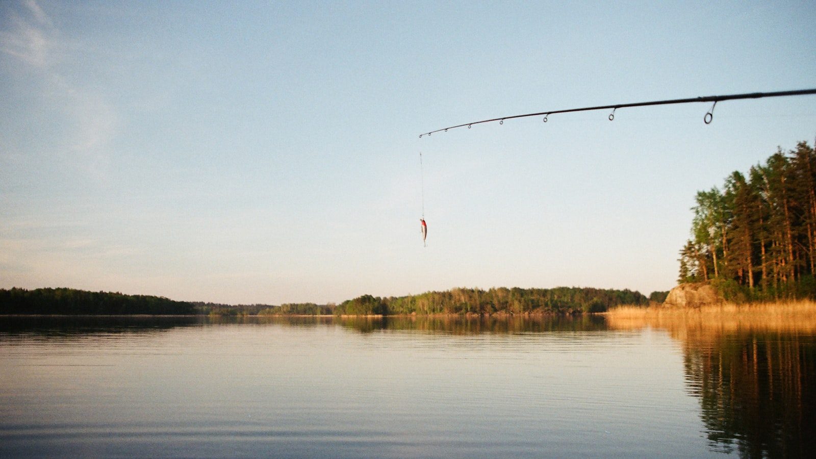 An image contrasting lures and live bait